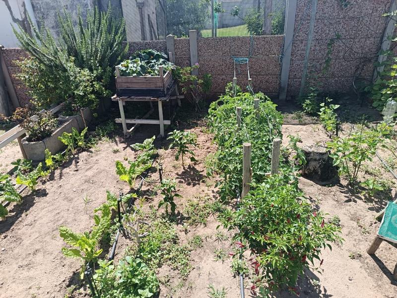 4 Bedroom Property for Sale in Albertinia Western Cape